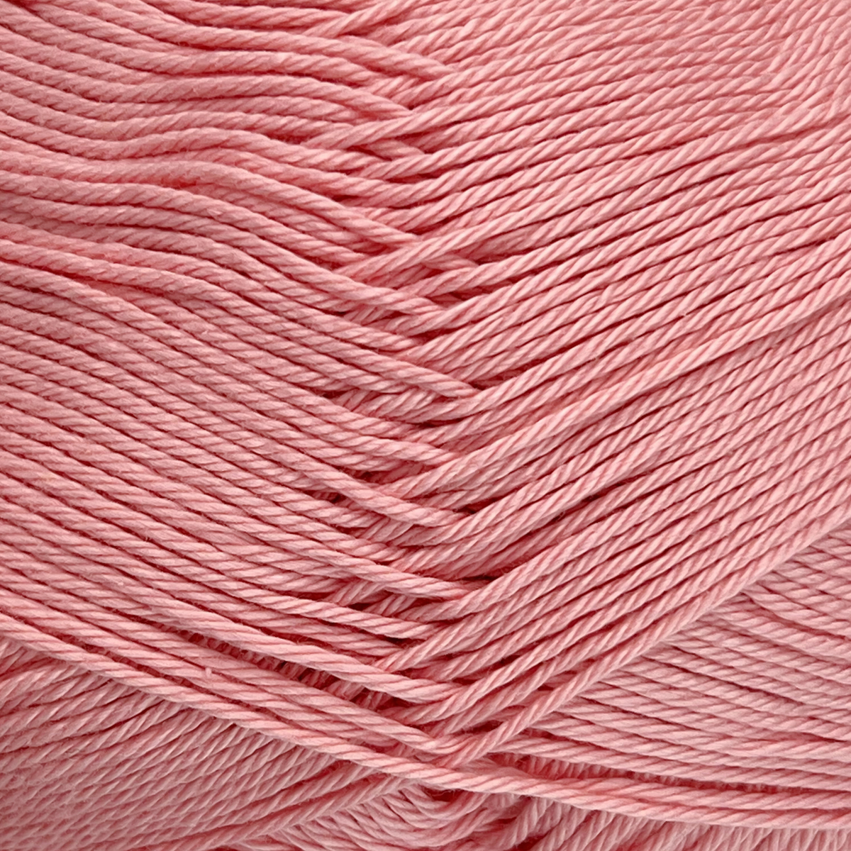 037 Rose