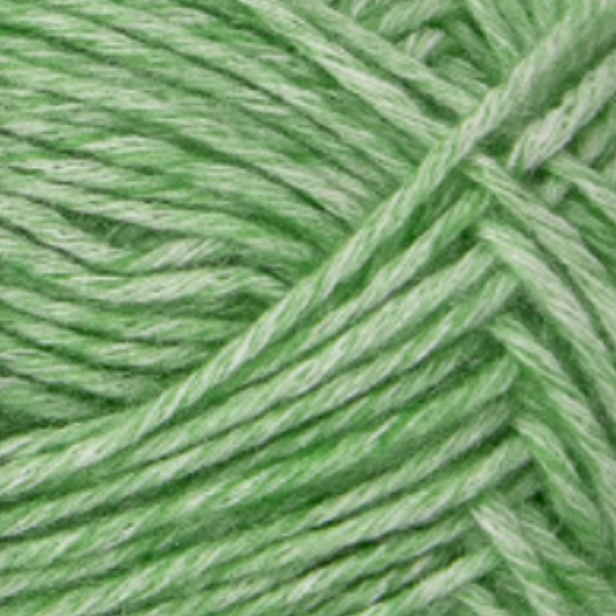 41 Grass Green