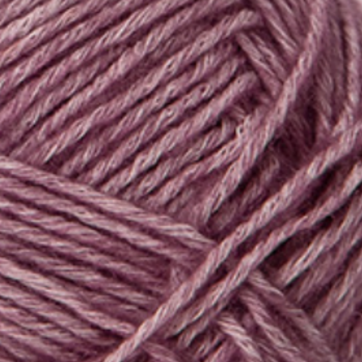 07 Rose Purple
