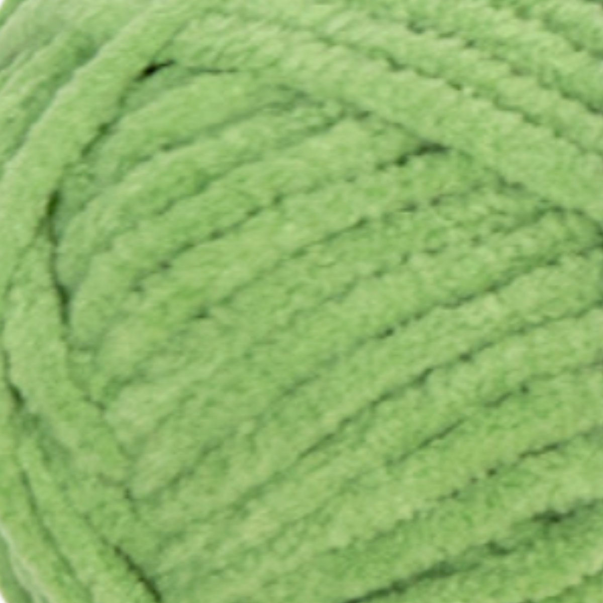 40 Bean Green