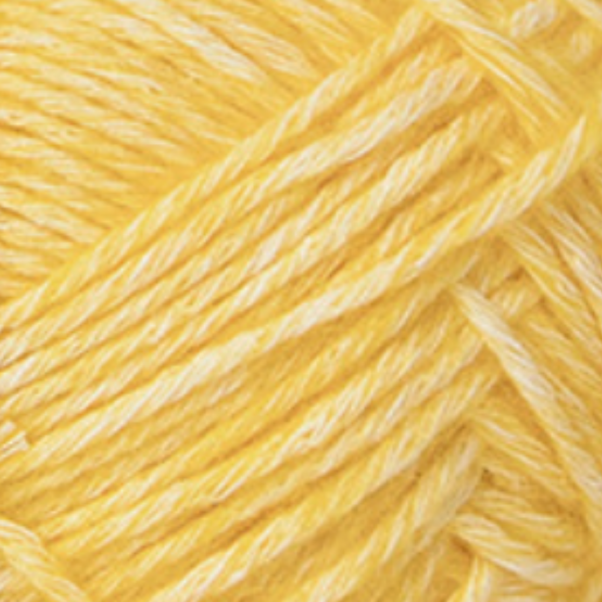 24 Yellow