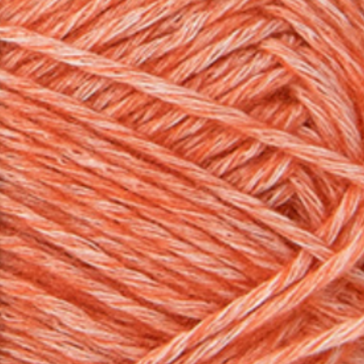 28 Coral