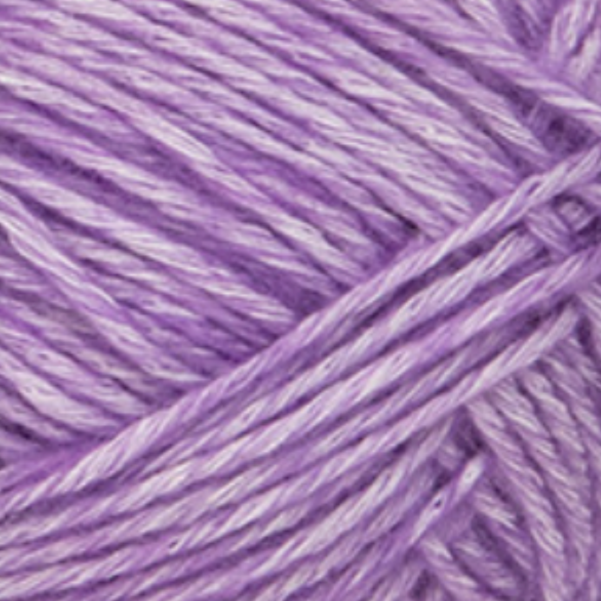 49 Lavender
